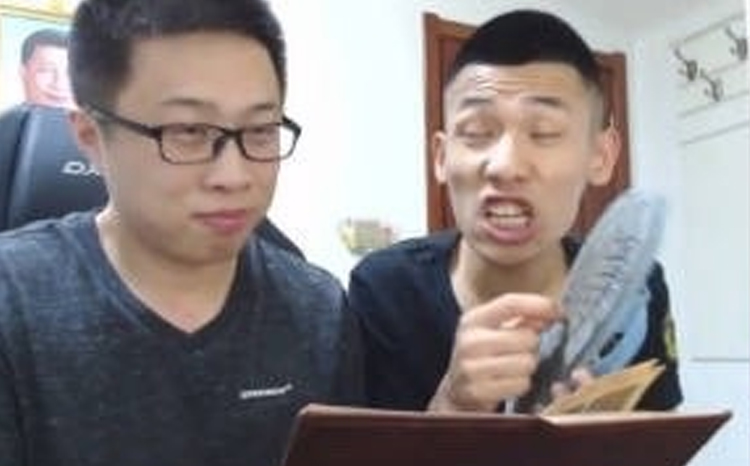 大龙猫