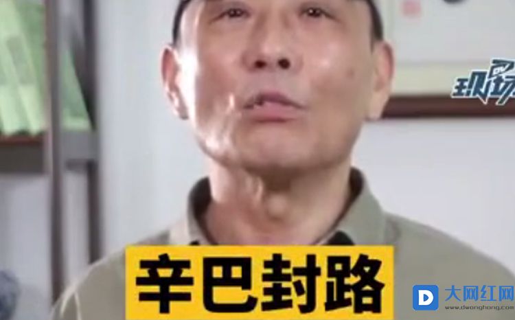 人民网痛批辛巴